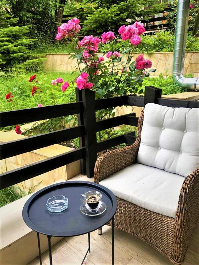 Casa Varful Cu Dor Sinaia Dış mekan fotoğraf