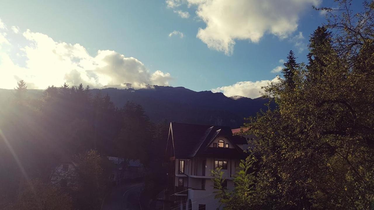 Casa Varful Cu Dor Sinaia Dış mekan fotoğraf
